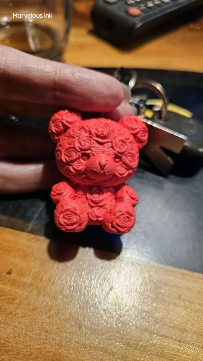 https://makerworld.bblmw.com/makerworld/comment/20260212/1767639270/22dcb7849359520a.jpg