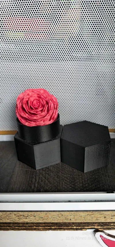 https://makerworld.bblmw.com/makerworld/comment/20260212/1809839623/aaedd88146f14a70.jpg