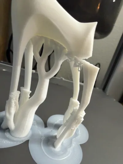 https://makerworld.bblmw.com/makerworld/comment/20260212/1882347967/40eaccba64a661be.jpg