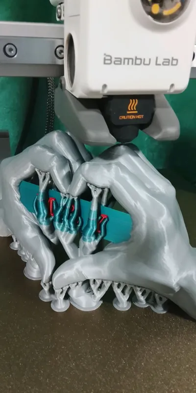 https://makerworld.bblmw.com/makerworld/comment/20260212/2347034818/87ec85a5ac9a1be8.jpg