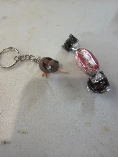 https://makerworld.bblmw.com/makerworld/comment/20260212/2426983558/a843a6a032d67e3f.jpg