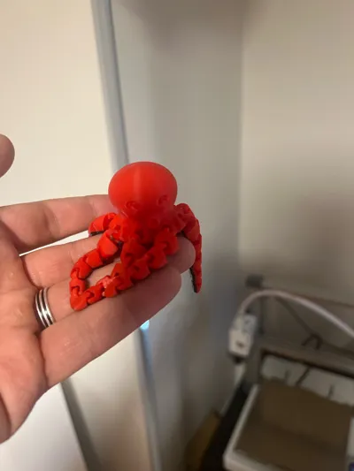 https://makerworld.bblmw.com/makerworld/comment/20260212/2648782049/2d6e59cc2dd360b1.jpg