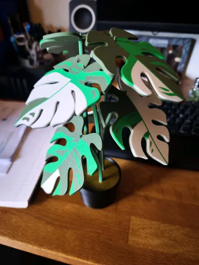 https://makerworld.bblmw.com/makerworld/comment/20260212/2750156902/2b4fd762995fb037.jpg