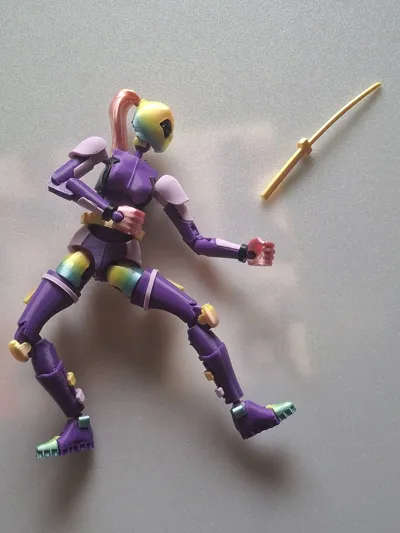 https://makerworld.bblmw.com/makerworld/comment/20260212/2969408306/bba776825781f9f3.jpg