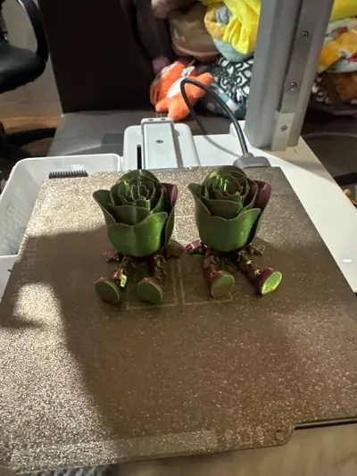 https://makerworld.bblmw.com/makerworld/comment/20260212/3293282489/9493e2e7f5e1b73f.jpg