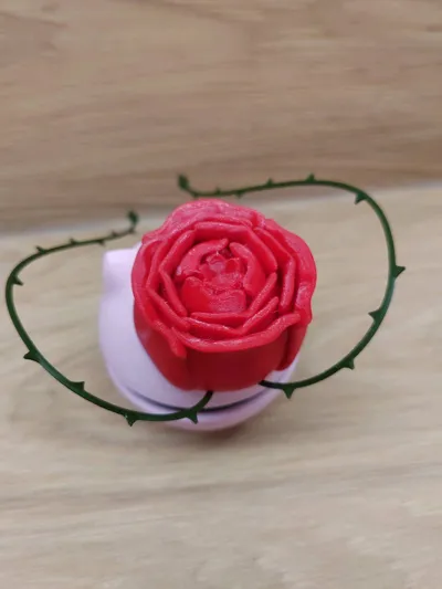 https://makerworld.bblmw.com/makerworld/comment/20260212/3520167501/b4dd94845d8212ed.jpg