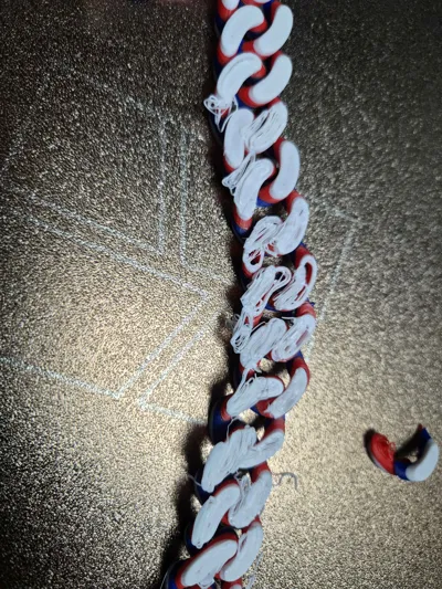https://makerworld.bblmw.com/makerworld/comment/20260212/3944900401/d2a6a20c2dd34b4c.jpg