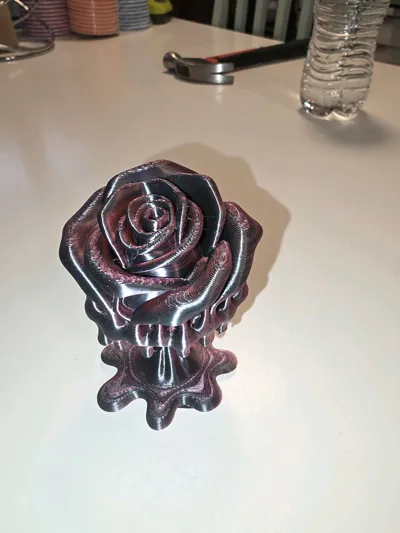 https://makerworld.bblmw.com/makerworld/comment/20260212/433423513/0c2316624746fea5.jpg