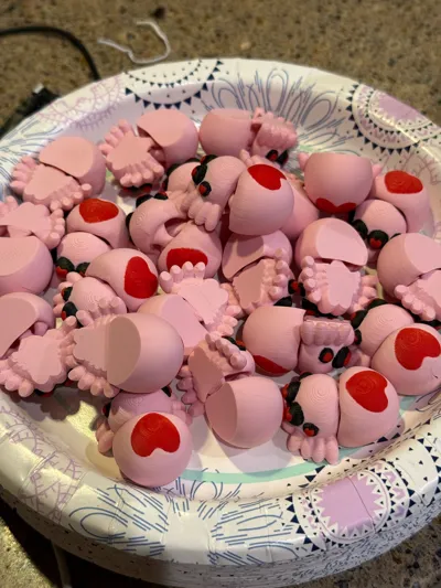 https://makerworld.bblmw.com/makerworld/comment/20260212/529165447/45321d83f6edba02.jpg
