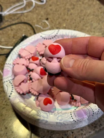 https://makerworld.bblmw.com/makerworld/comment/20260212/529165447/7e19a48425a6c980.jpg