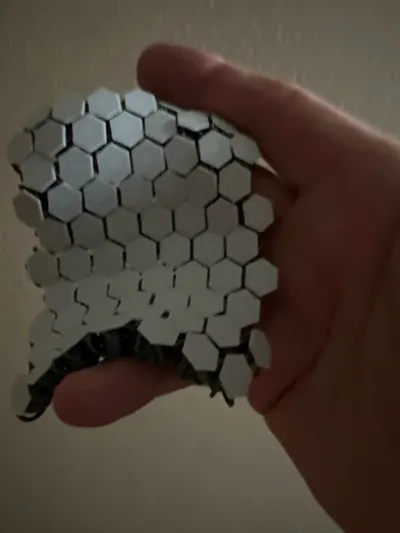 https://makerworld.bblmw.com/makerworld/comment/20260212/677689666/7e4d3554769b3d5a.jpg