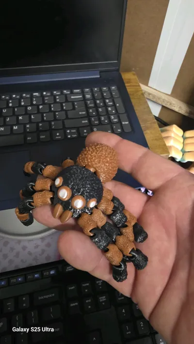 https://makerworld.bblmw.com/makerworld/comment/20260212/68215760/343d5dd2edfe1643.jpg