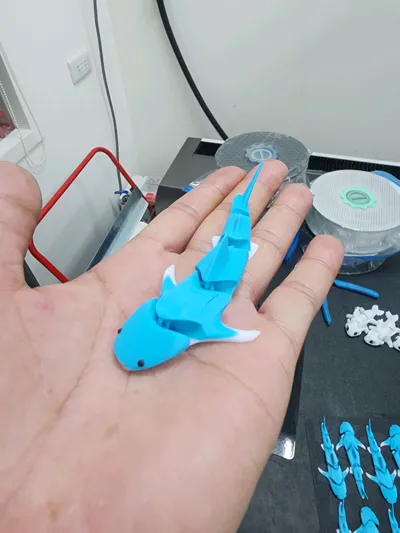 https://makerworld.bblmw.com/makerworld/comment/20260212/765292525/202c91411959189e.jpg