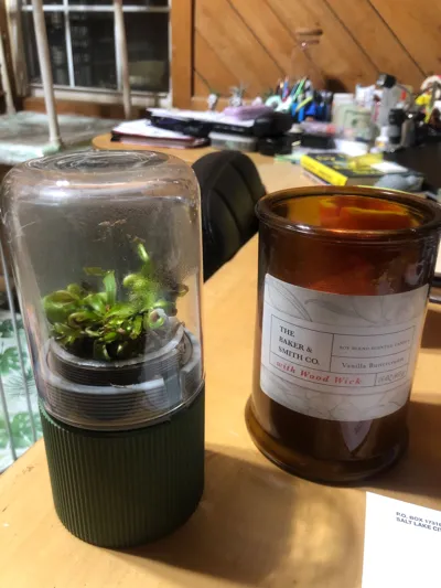 https://makerworld.bblmw.com/makerworld/comment/20260212/766007805/dfafb9343bc55216.jpg
