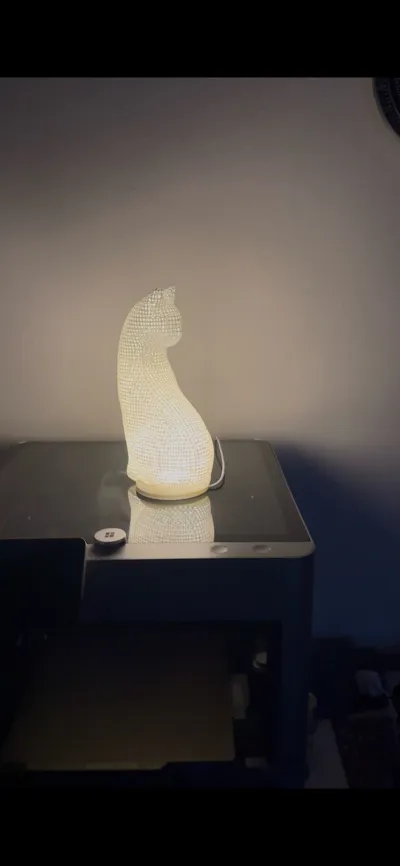 https://makerworld.bblmw.com/makerworld/comment/20260212/888231125/fc00715e666fa5ad.jpg