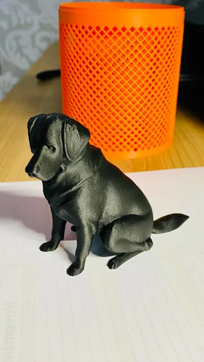 https://makerworld.bblmw.com/makerworld/comment/20260213/150737961/c2ec2c23f91517c7.jpeg
