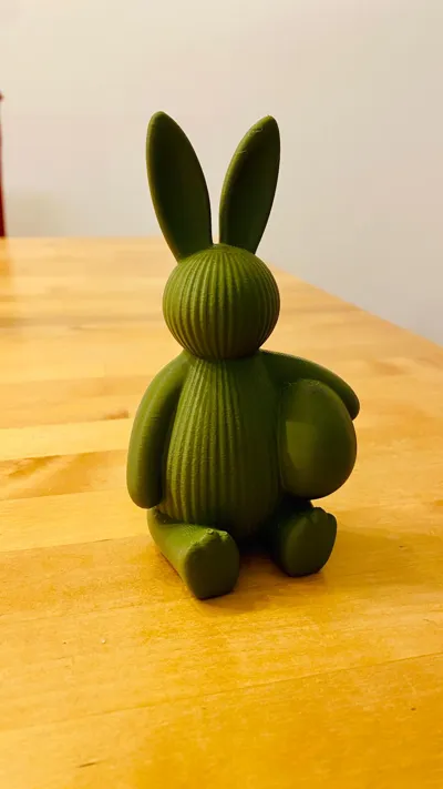 https://makerworld.bblmw.com/makerworld/comment/20260213/150737961/db32b7392ac1fb63.jpeg