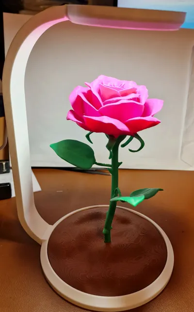 https://makerworld.bblmw.com/makerworld/comment/20260213/1563843858/a9c44c509cad37be.jpg