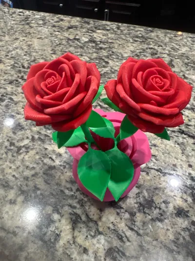 https://makerworld.bblmw.com/makerworld/comment/20260213/1620198501/75ad3ef2d31c65d5.jpg