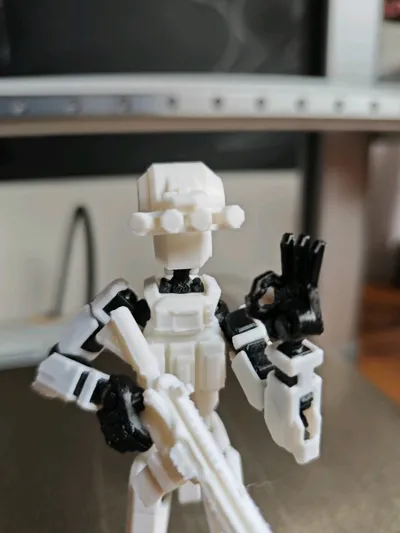 https://makerworld.bblmw.com/makerworld/comment/20260213/1666436853/6b2e072dbba79276.jpg