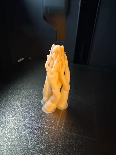 https://makerworld.bblmw.com/makerworld/comment/20260213/2173181066/83b208fe9c412f9c.jpg