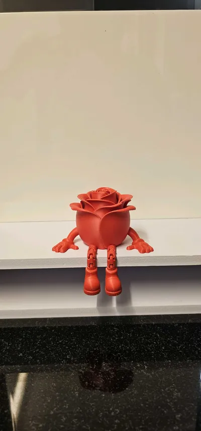 https://makerworld.bblmw.com/makerworld/comment/20260213/2859142506/280de33682d9b0ca.jpg