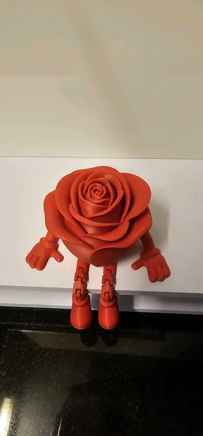 https://makerworld.bblmw.com/makerworld/comment/20260213/2859142506/756998a44c457566.jpg