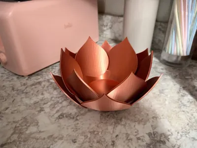 https://makerworld.bblmw.com/makerworld/comment/20260213/2944020161/7f7f6780f99c02ff.jpg