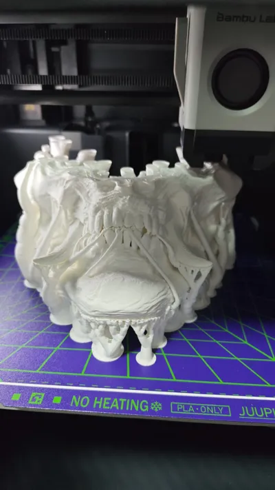 https://makerworld.bblmw.com/makerworld/comment/20260213/3160851197/f05254077a30d00d.jpeg