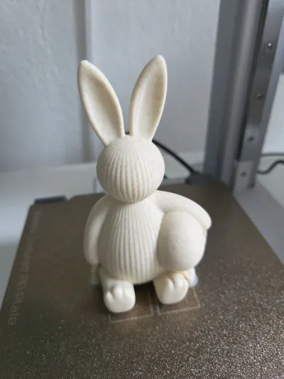 https://makerworld.bblmw.com/makerworld/comment/20260213/3485496306/66fa7fd219b290f8.jpg