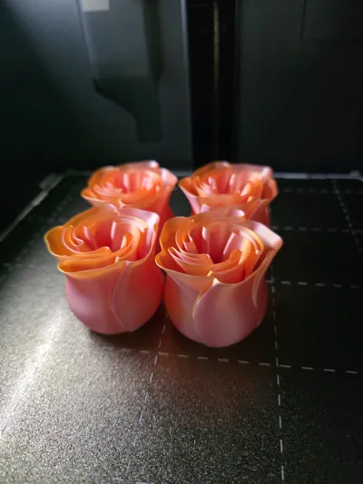 https://makerworld.bblmw.com/makerworld/comment/20260213/3647570065/2be0b546daacafb0.jpg