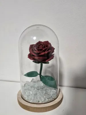 https://makerworld.bblmw.com/makerworld/comment/20260213/3775416049/d751c7bdb09fd680.jpg