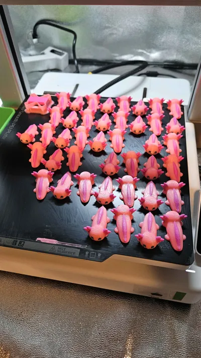 https://makerworld.bblmw.com/makerworld/comment/20260213/3796832377/78fc7dec24a73af3.jpg