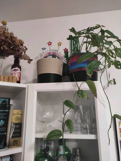 https://makerworld.bblmw.com/makerworld/comment/20260213/4217995243/5965e8c8b6bf90f9.jpg