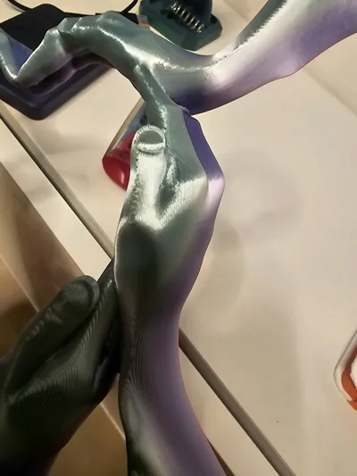 https://makerworld.bblmw.com/makerworld/comment/20260213/688545107/a67bb0df9e59efe4.jpg