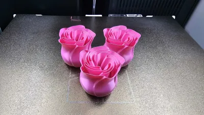 https://makerworld.bblmw.com/makerworld/comment/20260213/876994732/75f7d27e204a51fa.jpg