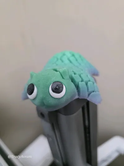 https://makerworld.bblmw.com/makerworld/comment/20260213/937451143/74cf5fd1f8a22f0e.jpg
