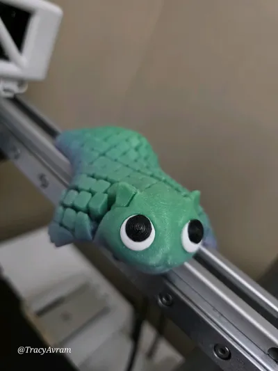 https://makerworld.bblmw.com/makerworld/comment/20260213/937451143/a5cf3fa919900354.jpg