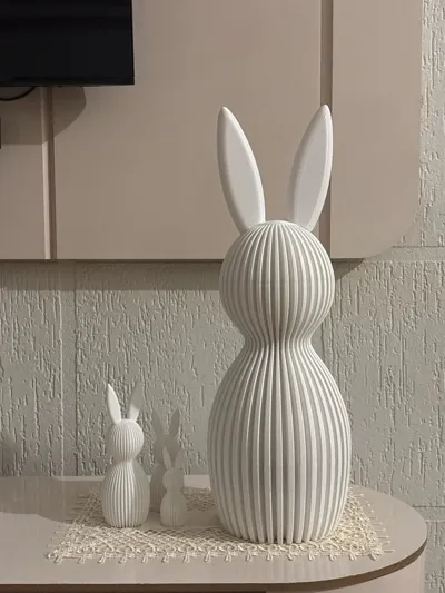 https://makerworld.bblmw.com/makerworld/comment/20260213/957187404/27fbf0488c55f049.jpg