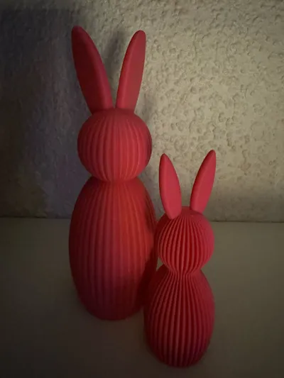 https://makerworld.bblmw.com/makerworld/comment/20260214/1062982996/5d5605ca8c82dfc7.jpg