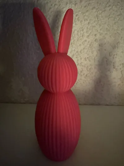 https://makerworld.bblmw.com/makerworld/comment/20260214/1062982996/7de60bb25a0f843e.jpg
