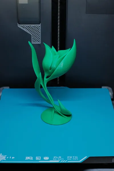https://makerworld.bblmw.com/makerworld/comment/20260214/108370568/4bef888a945fd234.jpg
