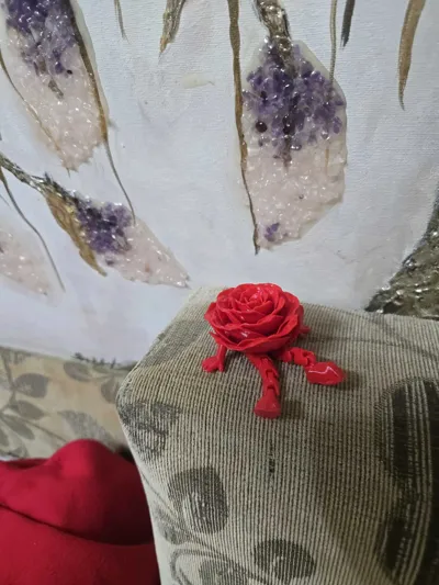 https://makerworld.bblmw.com/makerworld/comment/20260214/1515836097/370552e154ea0646.jpg