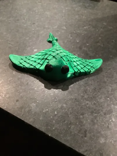 https://makerworld.bblmw.com/makerworld/comment/20260214/160178101/7a9d5251ca83622b.jpg