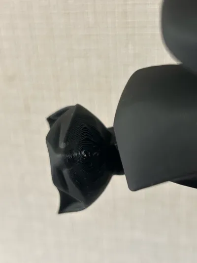 https://makerworld.bblmw.com/makerworld/comment/20260214/1815895567/926855dc50e53018.jpg