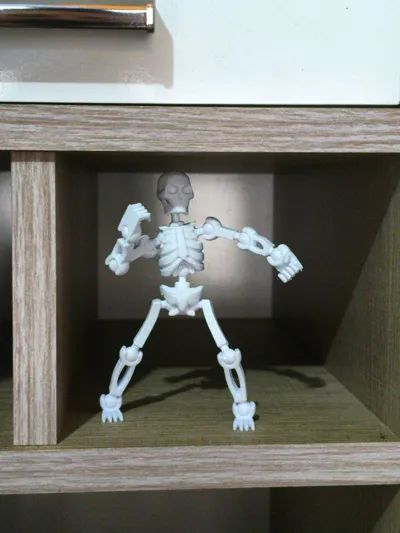 https://makerworld.bblmw.com/makerworld/comment/20260214/1964279485/d7fa803b153bd0d5.jpg