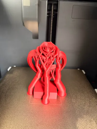 https://makerworld.bblmw.com/makerworld/comment/20260214/2115876303/fd6a30b902b3919e.jpg