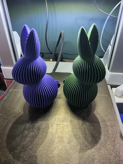 https://makerworld.bblmw.com/makerworld/comment/20260214/215689600/c8fe1cba3973f224.jpg