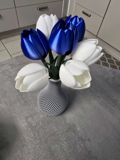 https://makerworld.bblmw.com/makerworld/comment/20260214/2171043658/740173e6b92c6c1c.jpg
