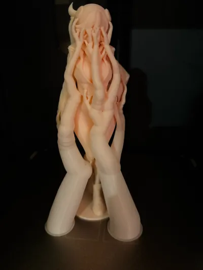 https://makerworld.bblmw.com/makerworld/comment/20260214/2173181066/c499febc9e3b7fe0.jpg